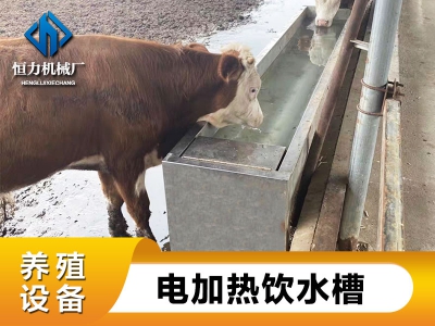 母牛用恒温水槽