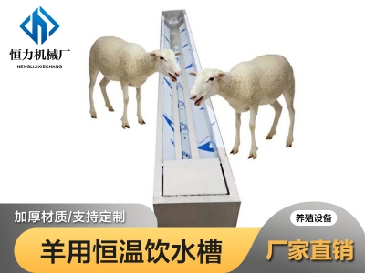 羊用电加热恒温水槽