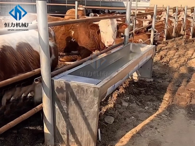 恒温饮水槽能否应对牛羊场的严冬与酷暑