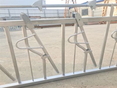 养殖场正确安装与使用羊颈夹